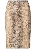 Dolce & Gabbana Pre-owned Snakeskin Effect Pencil Skirt - Neutrals
