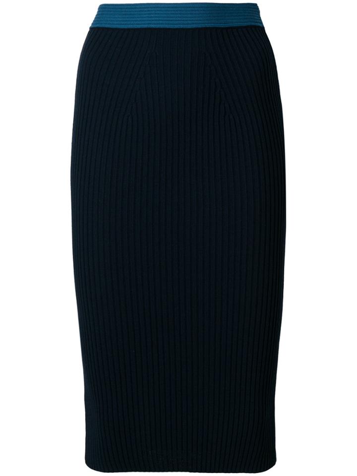 Fendi Pencil Midi Skirt - Blue