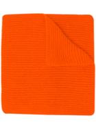 Rochas Ribbed Knit Scarf - Yellow & Orange