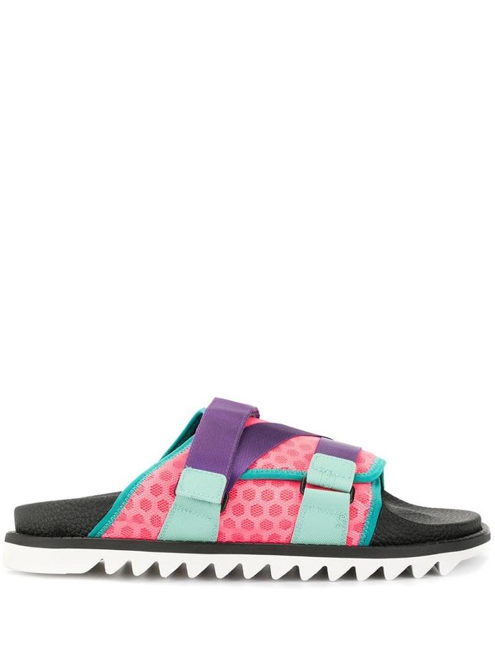 A(lefrude)e - Multicolour