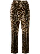 Dolce & Gabbana Leopard Print High-rise Trousers - Brown