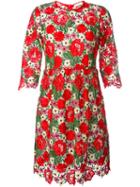 P.a.r.o.s.h. Floral Macramé Dress, Women's, Size: Large, Red, Polyester/cotton/polyamide