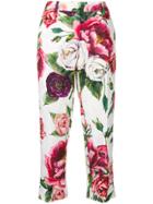 Dolce & Gabbana Rose Printed Cropped Trousers - White