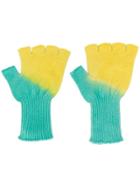 The Elder Statesman Two-tone Fingerless Gloves - Green