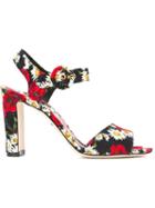 Dolce & Gabbana Daisy And Poppy Print Sandals
