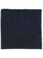 Daniela Gregis 'sci' Scarf, Women's, Blue, Cashmere