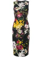 Dolce & Gabbana Floral Fitted Dress - Multicolour
