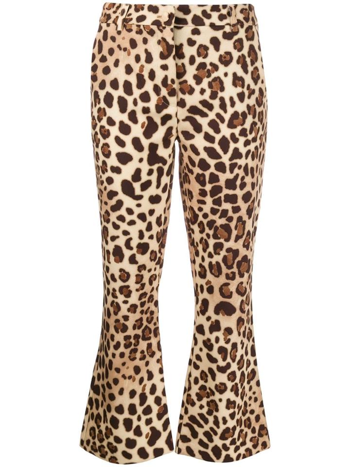 Be Blumarine Cropped Flared Leopard Print Trousers - Brown