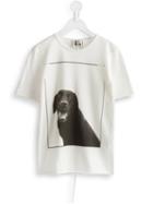 Lost And Found Kids Dog Print T-shirt, Boy's, Size: 6 Yrs, White