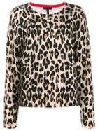 Escada Animal Print Jumper - Black