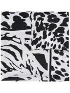 Cavalli Class Leopard Print Scarf - Black