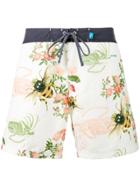 Riz Boardshorts White Bee Print Burgh Swim Shorts - Nude & Neutrals