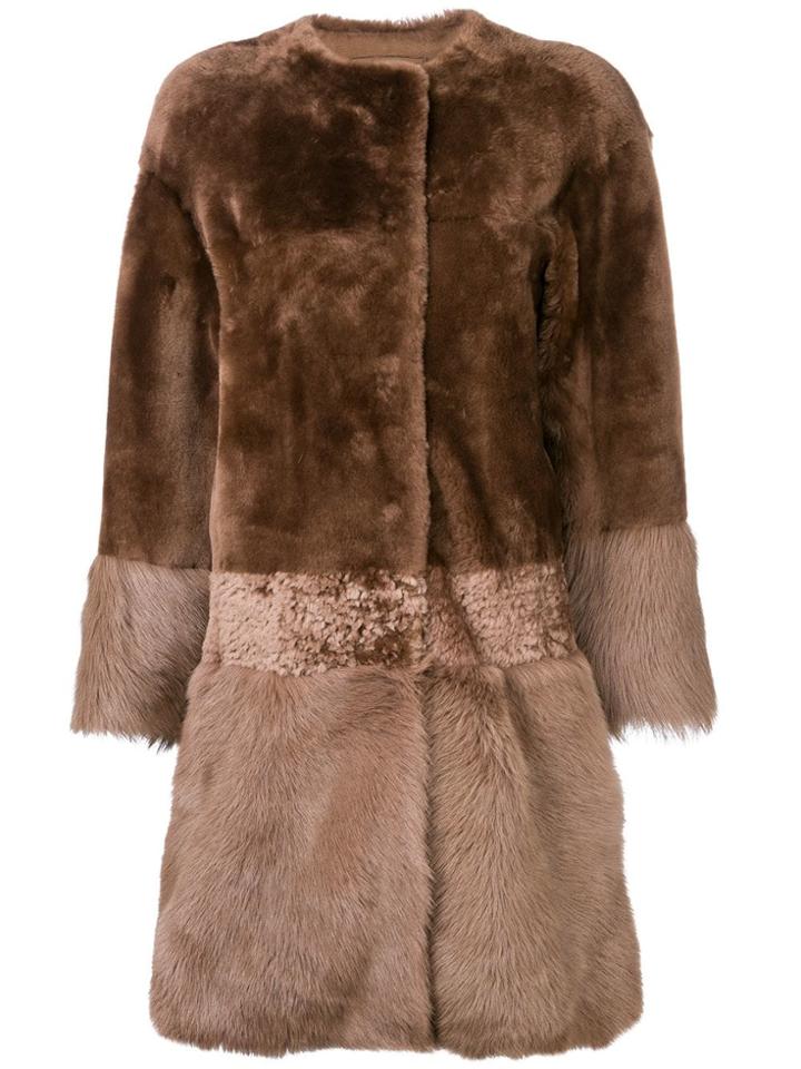 Desa 1972 Desa 1972 K11350r Nutria - Brown