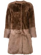 Desa 1972 Desa 1972 K11350r Nutria - Brown