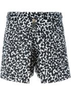 Boutique Moschino Graphic Leopard Print Shorts, Women's, Size: 40, Black, Cotton/spandex/elastane