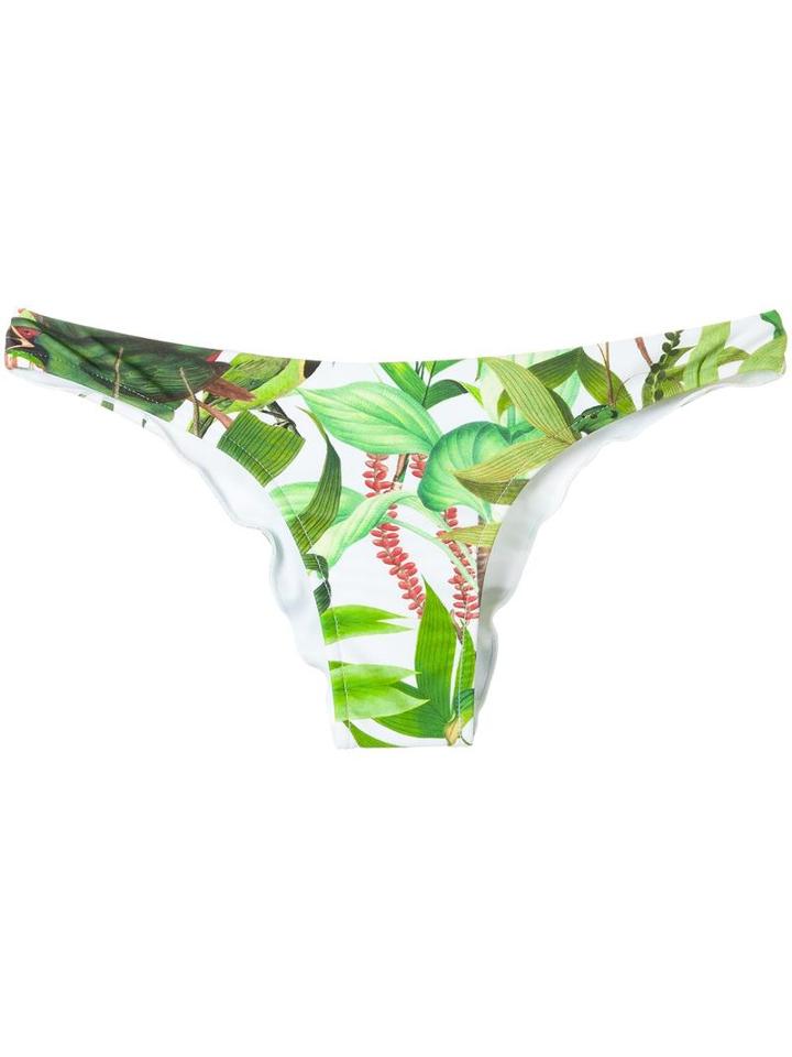 Blue Man - Printed Bikini Bottom - Women - Lyocell - P, Green, Lyocell