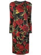 Dolce & Gabbana Rose Print Fitted Dress - Black