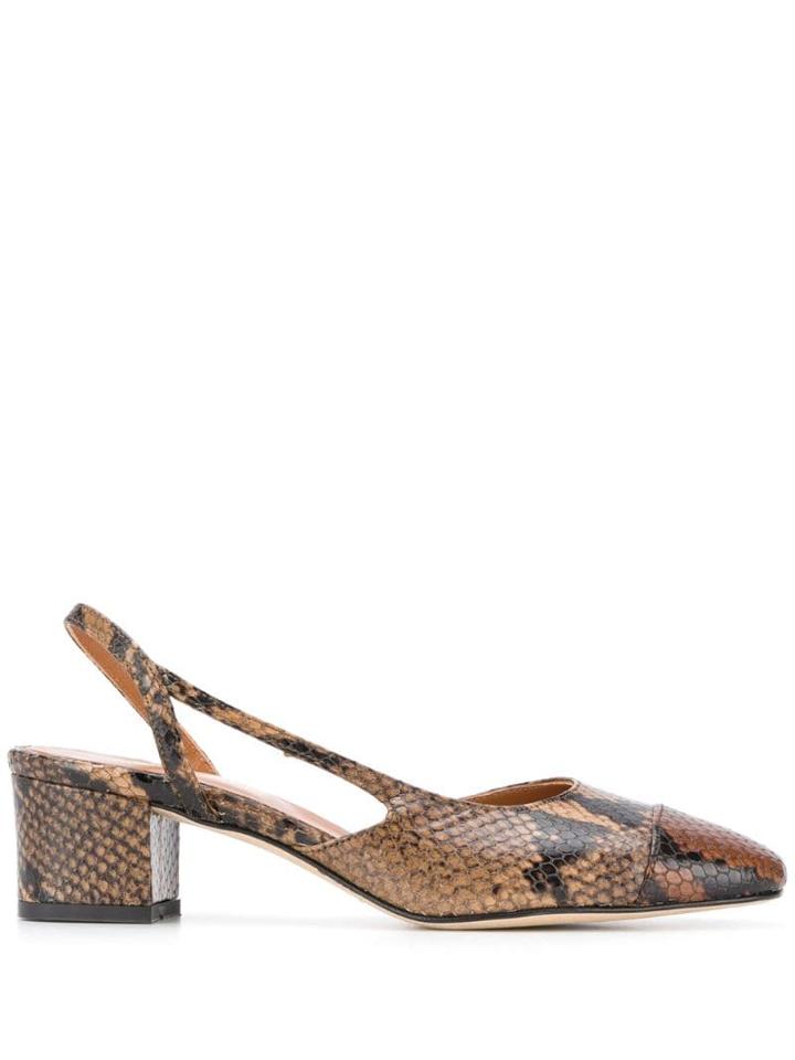 Paris Texas Snakeskin Print Pumps - Brown