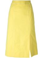 Cline Vintage A-line Midi Skirt