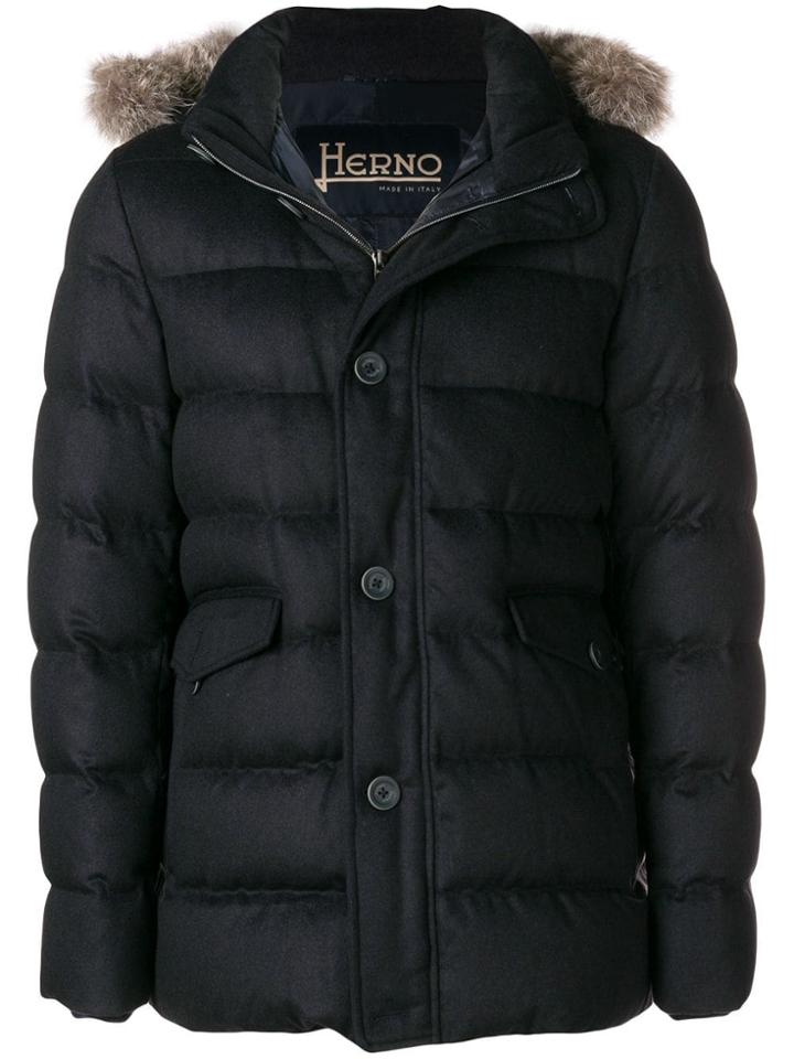 Herno Button Down Padded Coat - Blue