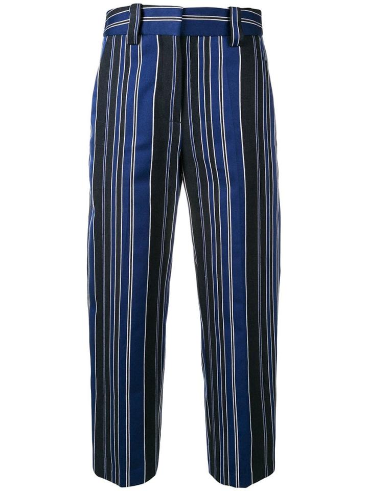 Erika Cavallini Striped Cropped Trousers - Blue