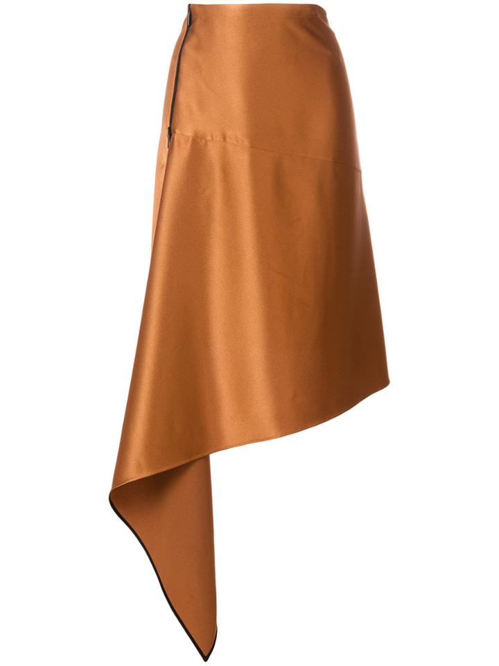 Petar Petrov Asymmetric A-line Skirt - Brown