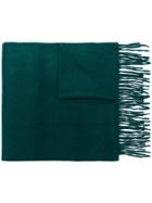 N.peal Woven Cashmere Scarf - Green