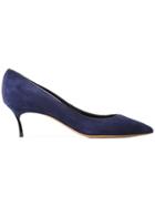 Casadei Pointed Toe Pumps - Blue