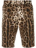 Dolce & Gabbana - Leopard Print Shorts - Men - Cotton/spandex/elastane - 48, Brown, Cotton/spandex/elastane