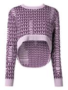 Opening Ceremony Umd X Opening Ceremony Elliptical Jumper, Women's, Size: Large, Pink/purple, Merino