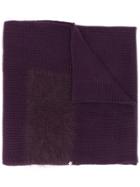 Lorena Antoniazzi Knitted Long Scarf - Purple