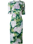 Dolce & Gabbana - Hydrangea Print Dress - Women - Silk/spandex/elastane - 42, Green, Silk/spandex/elastane