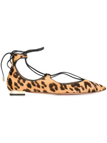 Aquazzura 'christy' Ballerinas - Brown