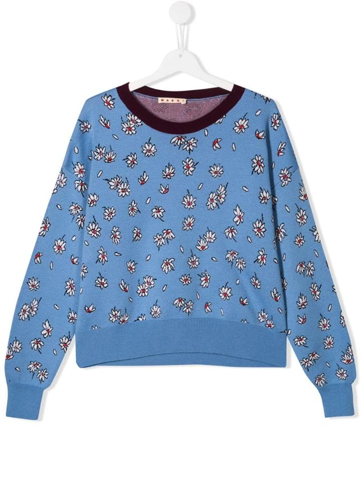 Marni Kids Floral Embroidered Sweater - Blue
