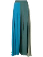 Erika Cavallini Flared Maxi Skirt - Blue