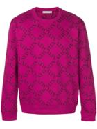 Valentino Vltn Crewneck Sweater - Pink