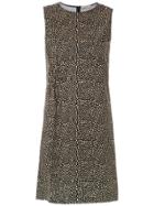 Egrey Printed Dress - Blue