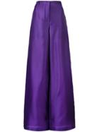 Alberta Ferretti Wide Leg Trousers - 0241 Purple
