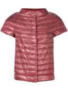 Herno Padded Short Sleeved Jacket - Pink & Purple