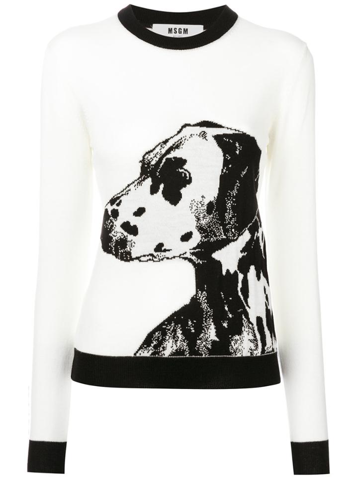 Msgm Knit Dog Top - White