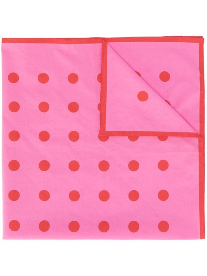 Holland & Holland Dotted Scarf - Pink