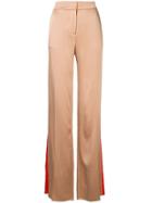 Peter Pilotto High Waisted Side Stripe Trousers - Brown