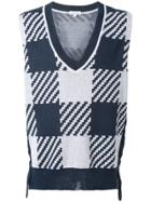 A(lefrude)e Sleeveless Sweater - Blue