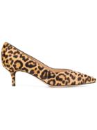 Gianvito Rossi Pointed Leopard Pumps - Brown