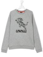 Roberto Cavalli Kids Tiger Print Sweatshirt - Grey