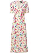 Saloni Fawn Poppies Midi Dress - Neutrals