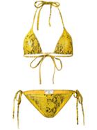 Faith Connexion - Snake Print Triangle Bikini - Women - Spandex/elastane/polyimide - 2, Yellow/orange, Spandex/elastane/polyimide