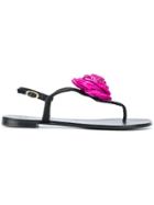 Giuseppe Zanotti Design Rose Sandals - Black