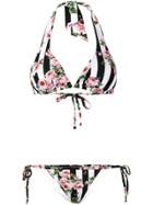 Dolce & Gabbana Rose Print Striped Bikini - Multicolour