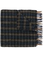 Gucci Embroidered Checked Scarf - Blue